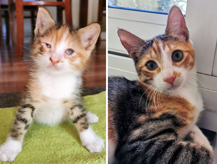 The Story in Her Eyes: From Sickness to Sparkle